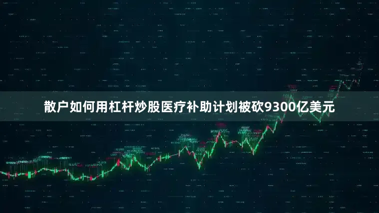 散户如何用杠杆炒股医疗补助计划被砍9300亿美元